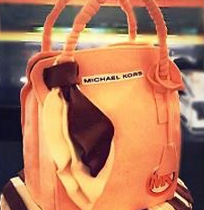 MICHAEL KORS BAG